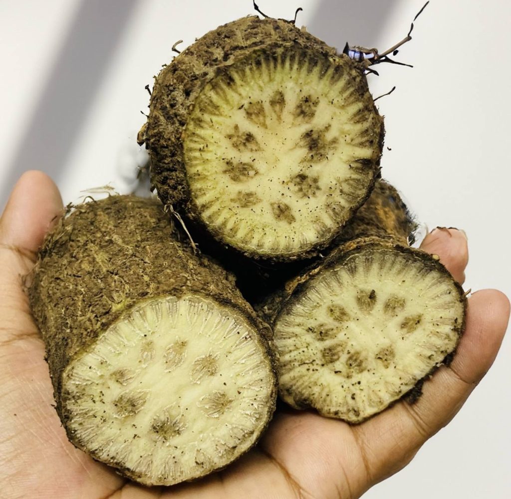 এঁটো চুইঝাল