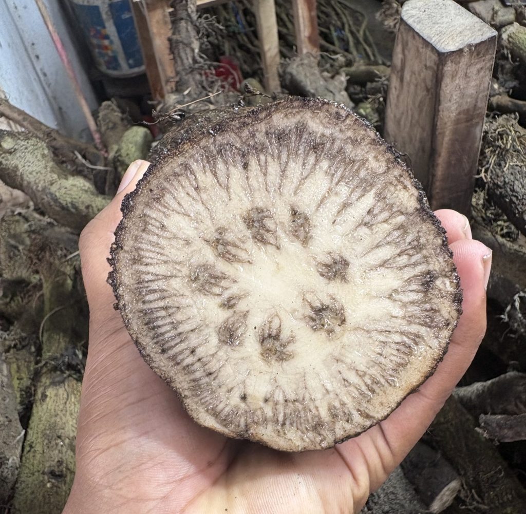 খুলনার দেশি চুইঝাল